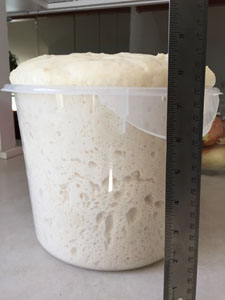 Pizza Dough photo